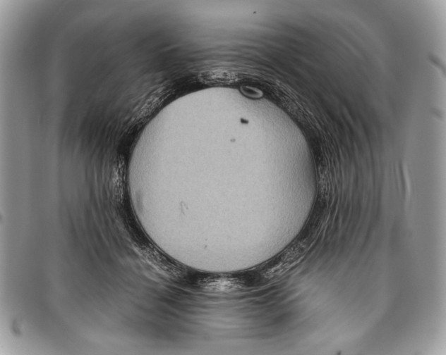 X0000096420460200802141638