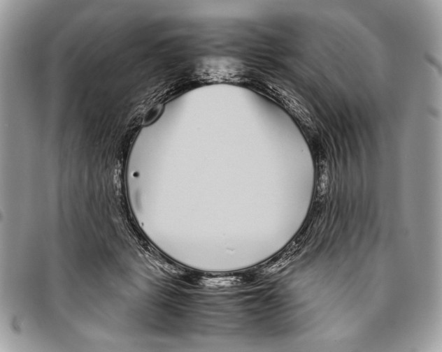 X0000096420461200802141638