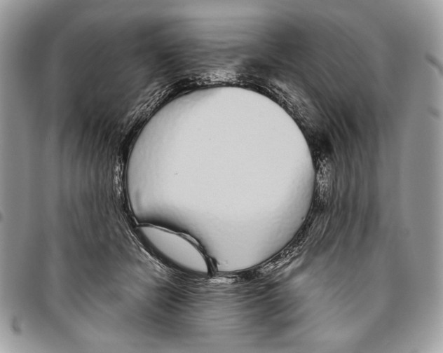 X0000096420462200802141638