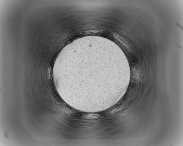 X0000096420463200802141638