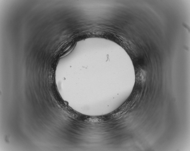 X0000096420464200802141638