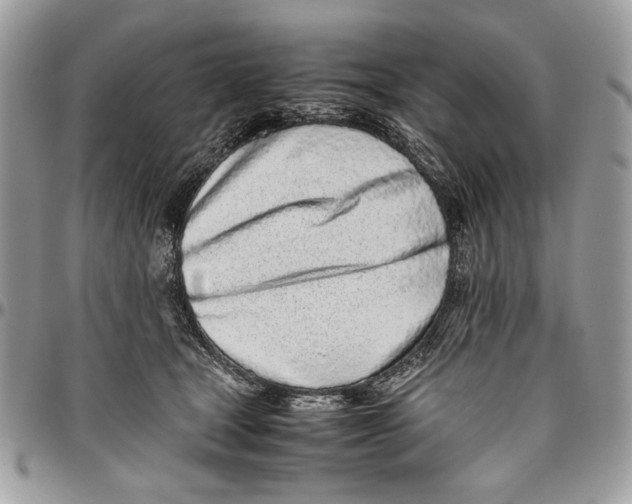 X0000096420465200802141638