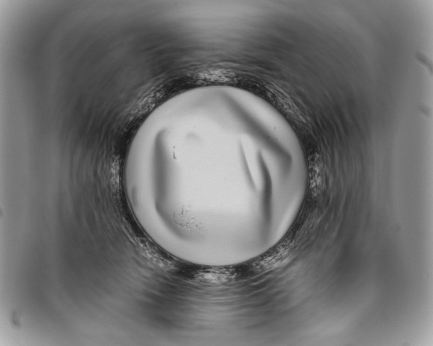 X0000096420466200802141638