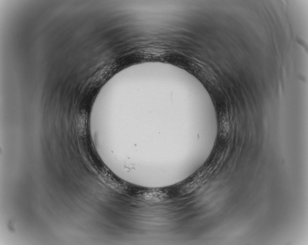 X0000096420468200802141638