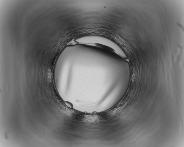 X0000096420469200802141638