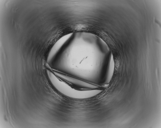 X0000096420470200802141638