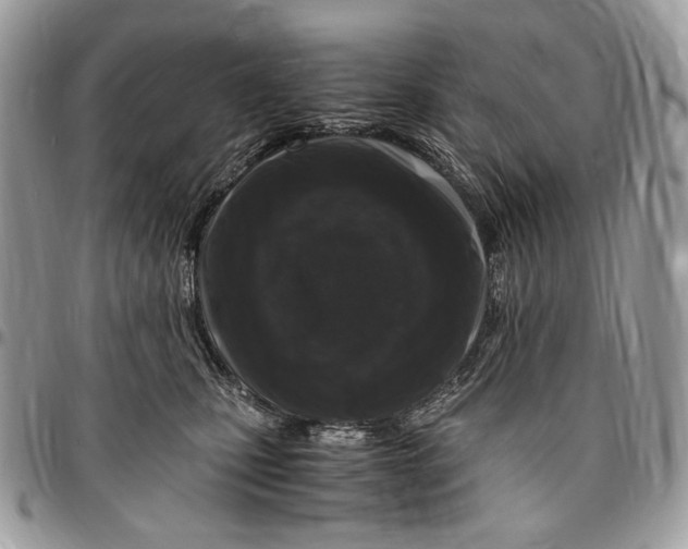 X0000096420471200802141638