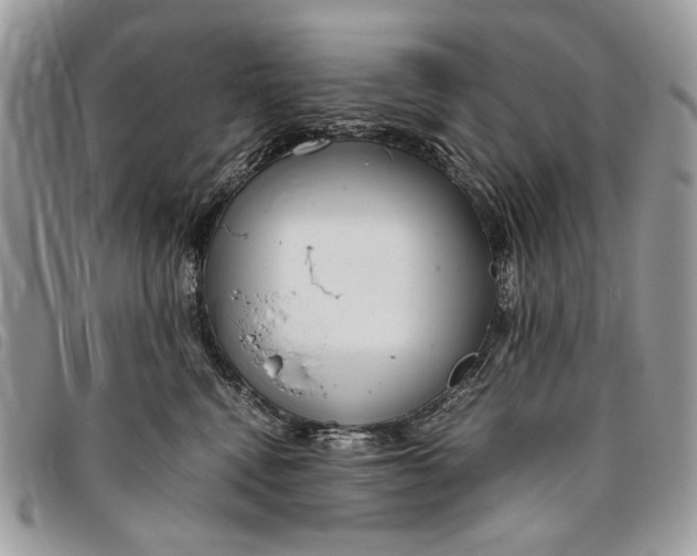 X0000096420472200802141638