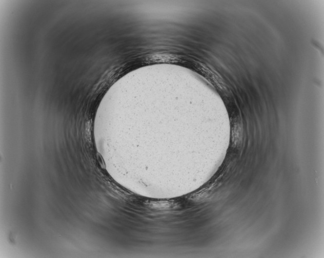 X0000096420473200802141638