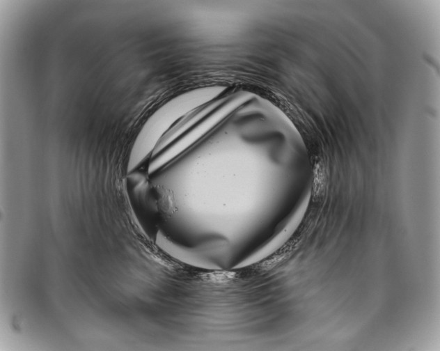 X0000096420474200802141638