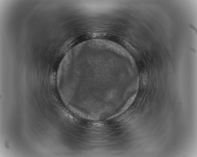 X0000096420475200802141638