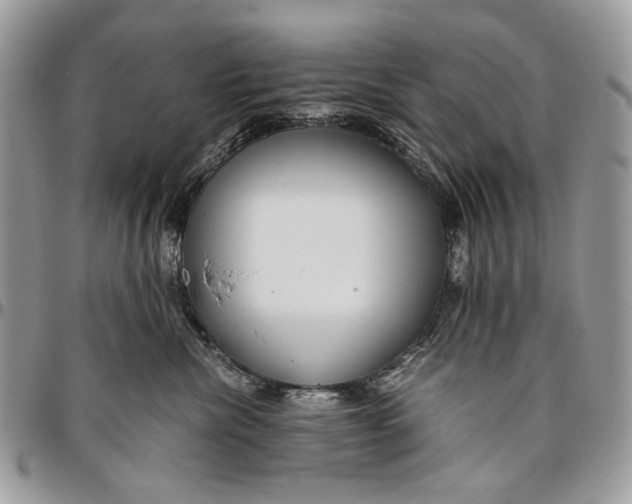 X0000096420476200802141638