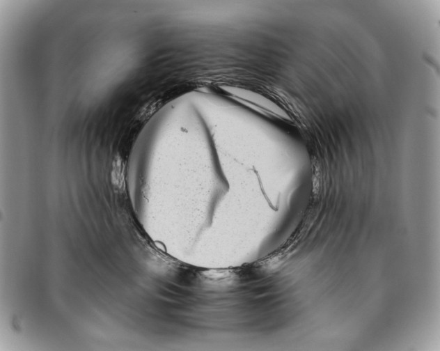 X0000096420477200802141638