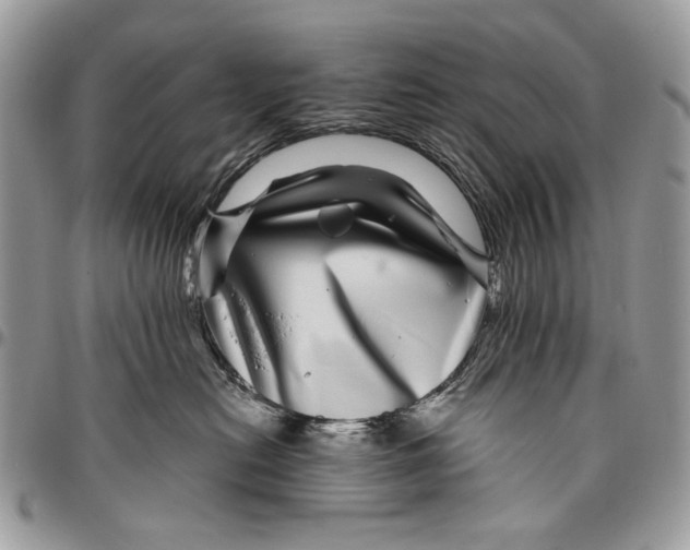 X0000096420478200802141638