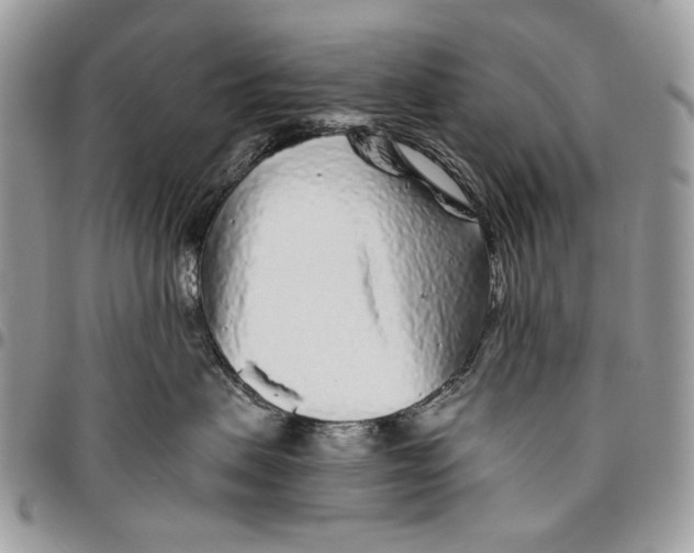 X0000096420479200802141638