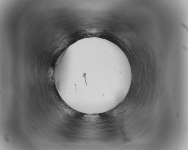 X0000096420480200802141638