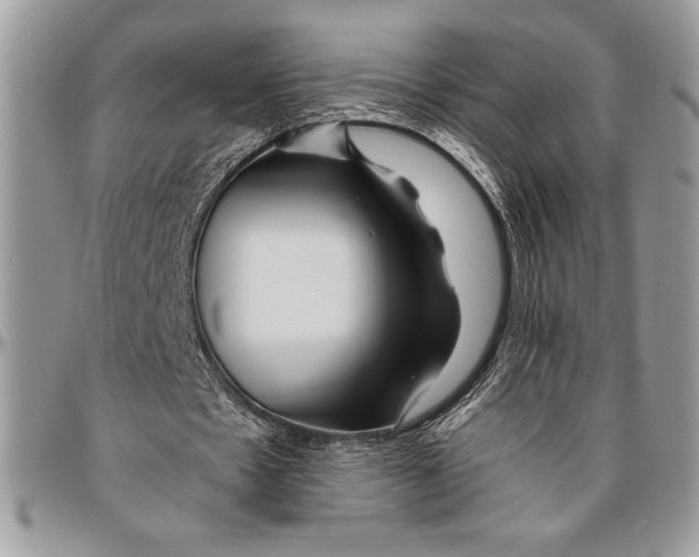 X0000096420481200802141638