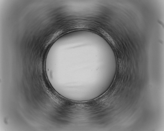 X0000096420482200802141638