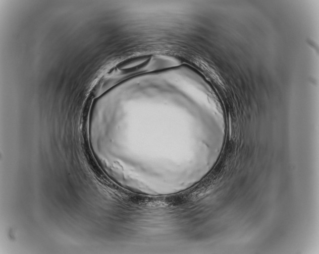 X0000096420483200802141638