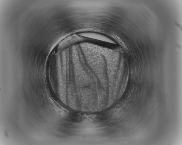 X0000096420484200802141638