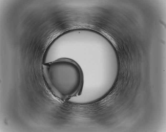 X0000096420485200802141638