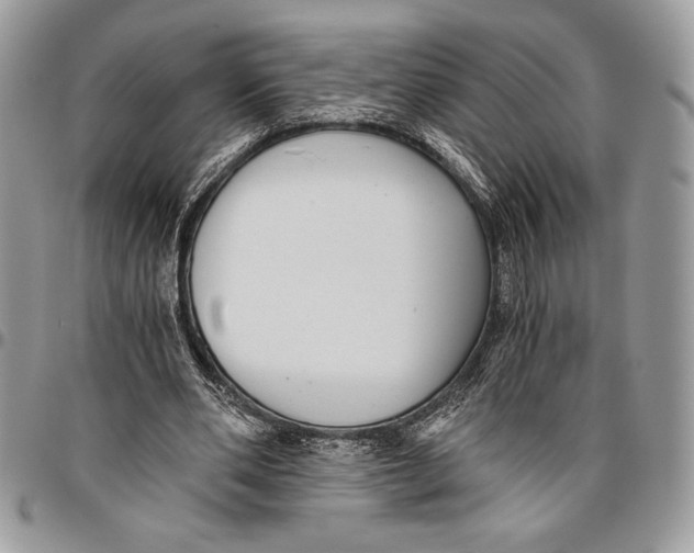 X0000096420486200802141638