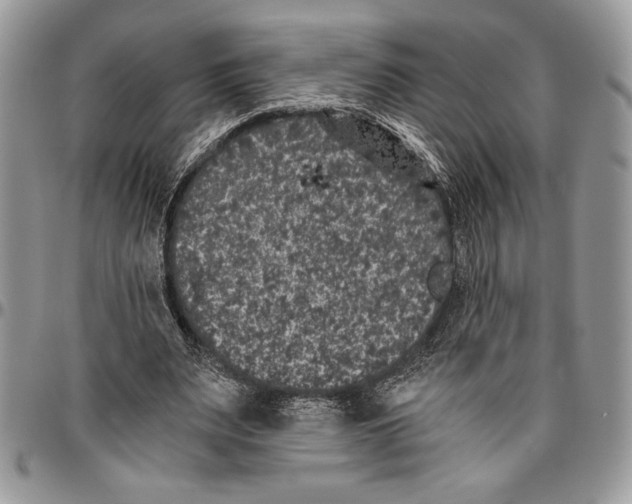 X0000096420487200802141638