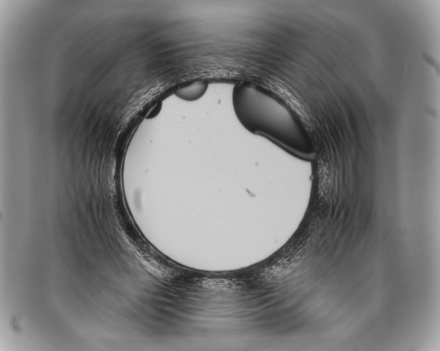 X0000096420490200802141638