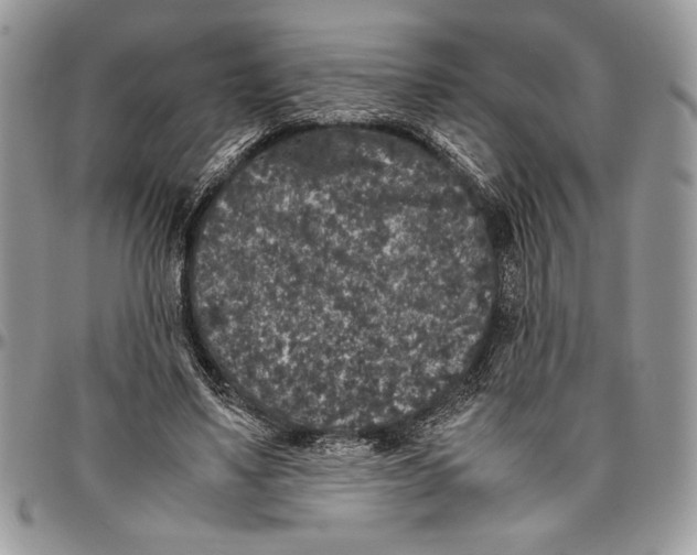 X0000096420491200802141638