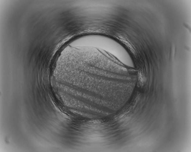 X0000096420492200802141638