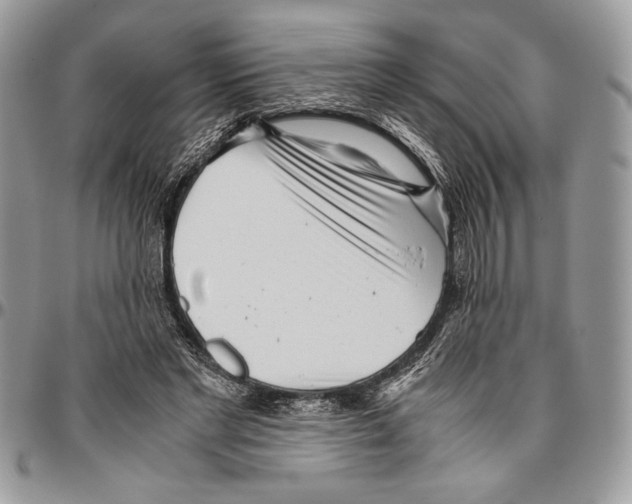 X0000096420493200802141638