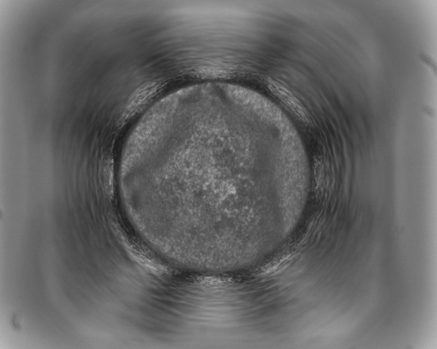 X0000096420494200802141638