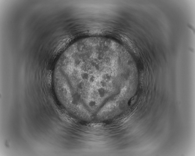 X0000096420495200802141638