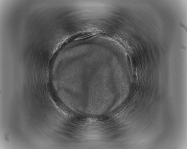 X0000096420496200802141638