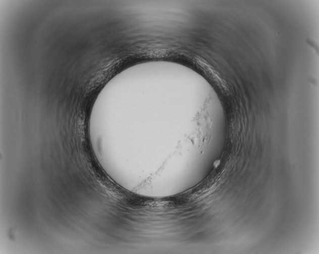 X0000096420497200802141638