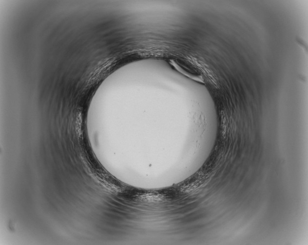 X0000096420498200802141638