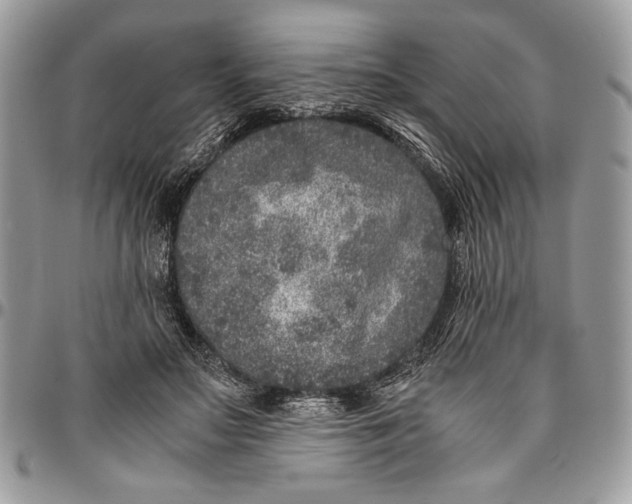 X0000096420499200802141638