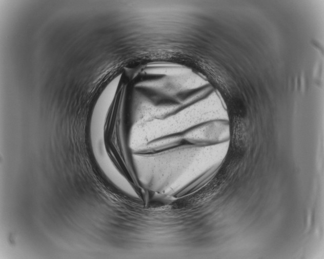 X0000096420501200802141638