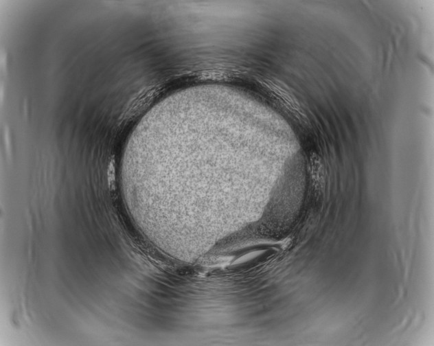 X0000096420502200802141638