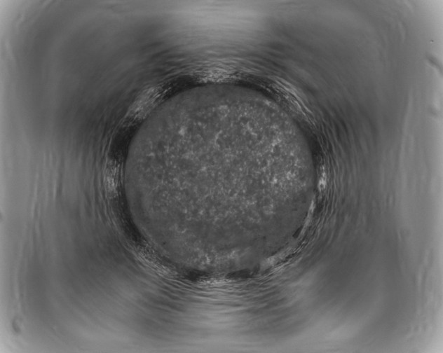 X0000096420503200802141637