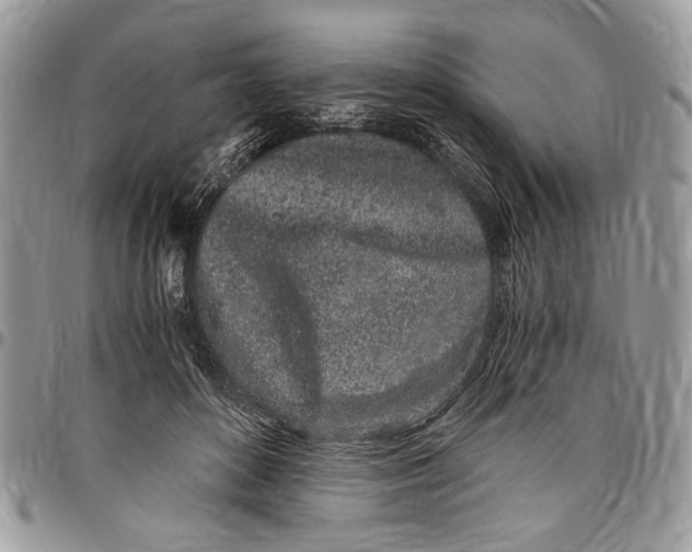 X0000096420504200802141637