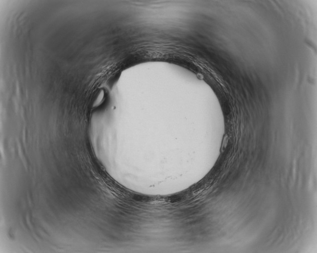 X0000096420505200802141637