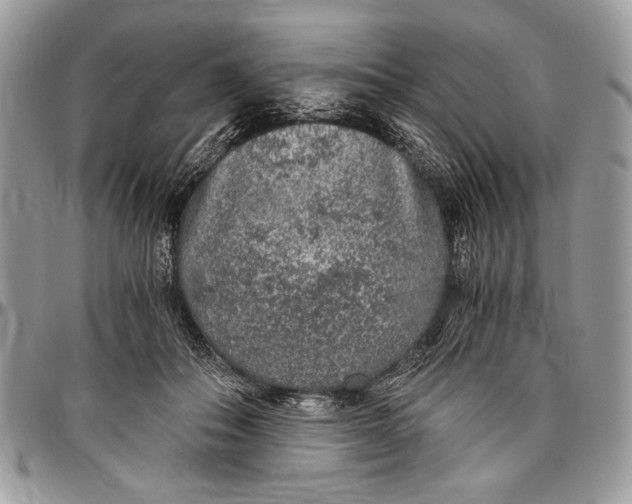 X0000096420506200802141637