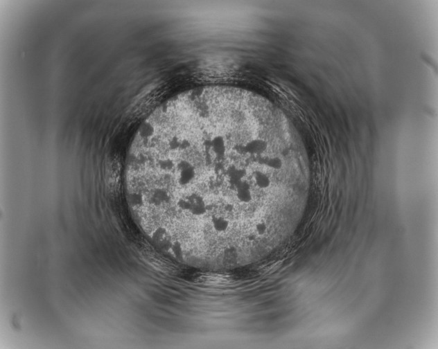 X0000096420507200802141637