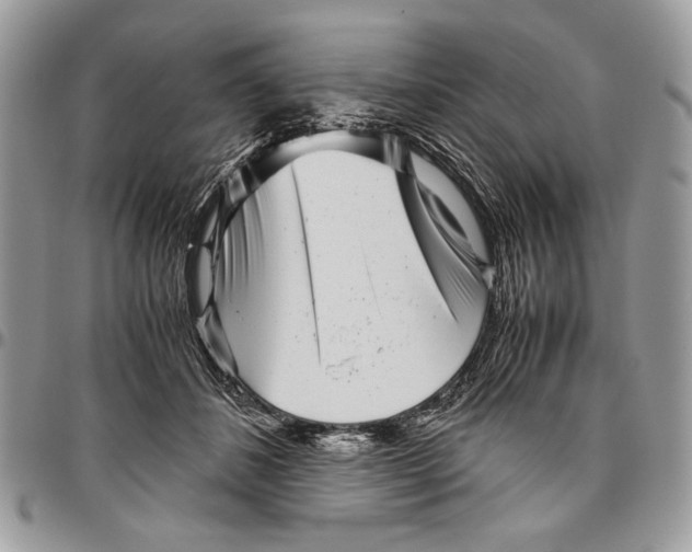 X0000096420508200802141637