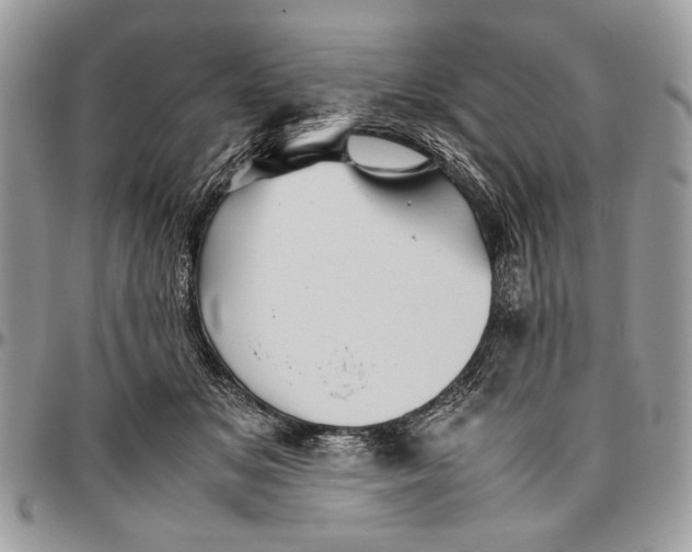 X0000096420509200802141637