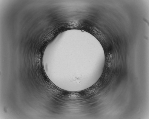 X0000096420510200802141637