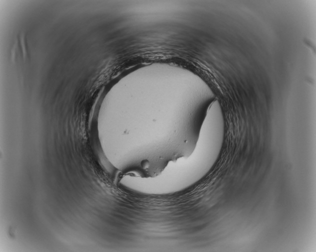 X0000096420512200802141637