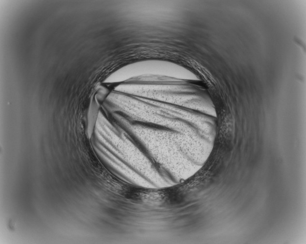 X0000096420513200802141637