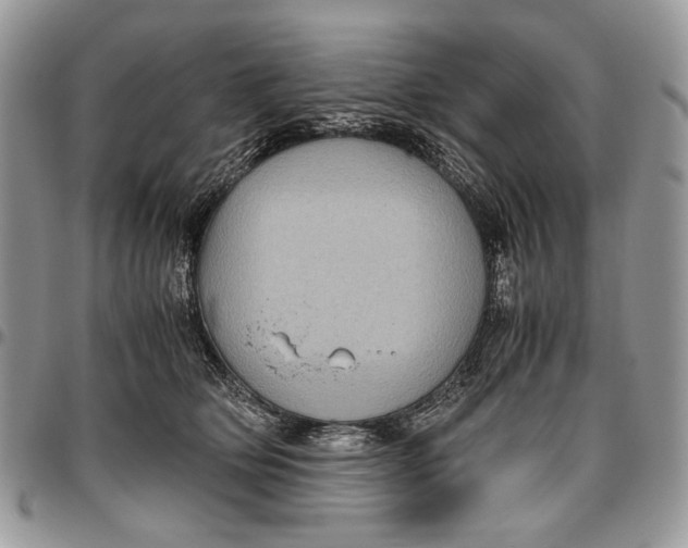 X0000096420514200802141637